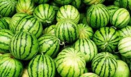 今日吃瓜感悟,品味人间百态